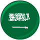 زبان عربی نصرت